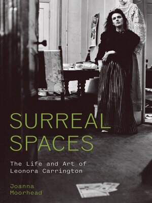 cover image of Surreal Spaces